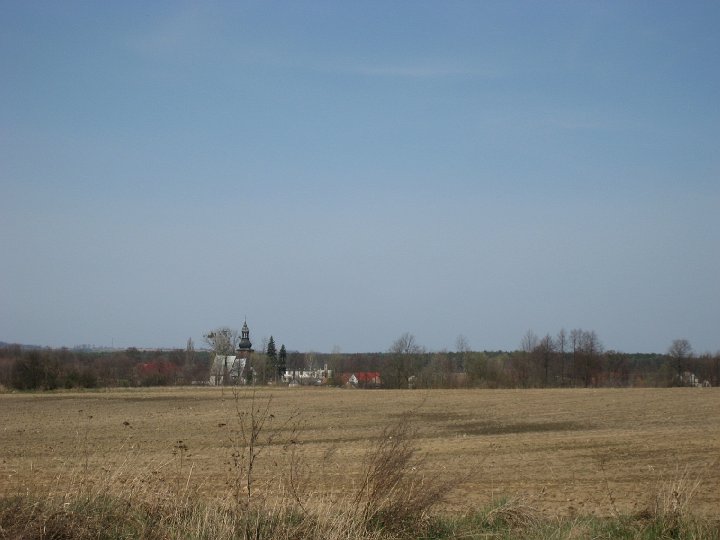 IMG_1740.JPG - Szkoda że to zdjęcie nie oddaje zapachu wczesnej wiosny i śpiewu ptaków, który towarzyszył mi, gdy je robiłem