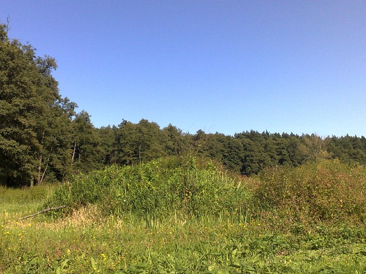 20080831269.jpg - ... Oto i ona. Tylko tyle zostało. Ot, kupka ziemi :(