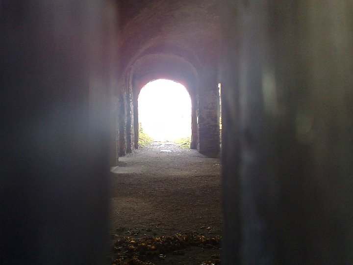 20081018565.jpg - Tyle tylko było widać przez zamknięte na głucho drzwi na dziedziniec