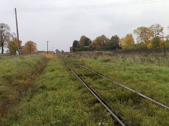 20081012523.jpg - Rybno Wielkie, ok. 14 km od Skoków (do Skoków przyjechałem samochodem, dalej - na rowerze). Linia Skoki - Gniezno