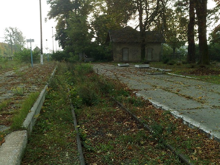 20081012545.jpg - Ślepe, zarośnięte tory...